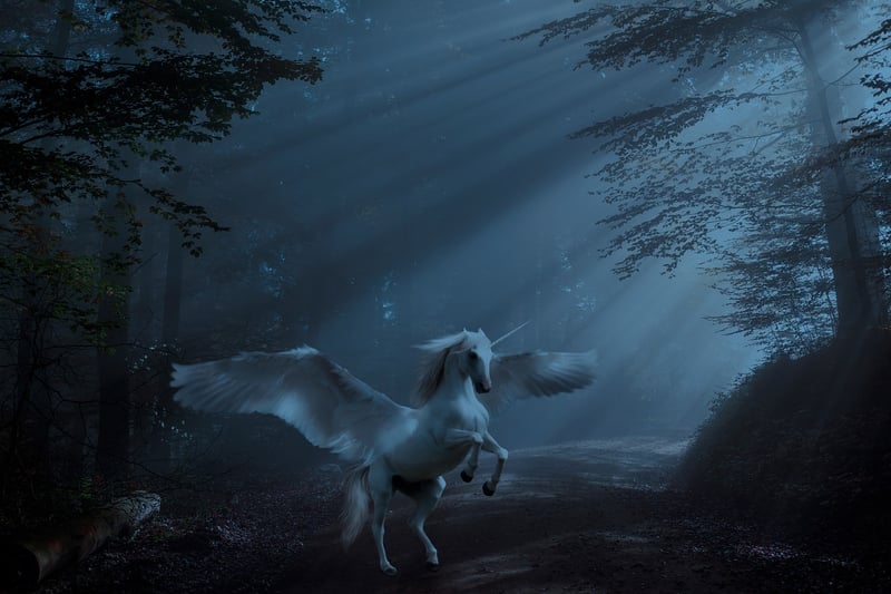 Unicorn Serenades
